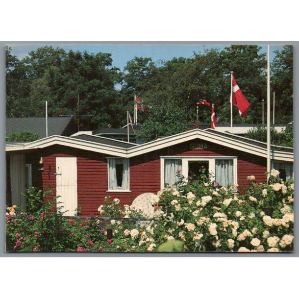 H/F Vennelyst Kolonihave p� Amager - Postkort - Ubrugt