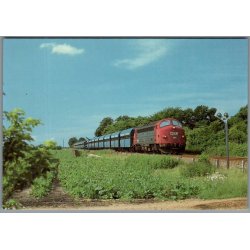 Kultog MY 1150 ved Borris 1991 - Ubrugt