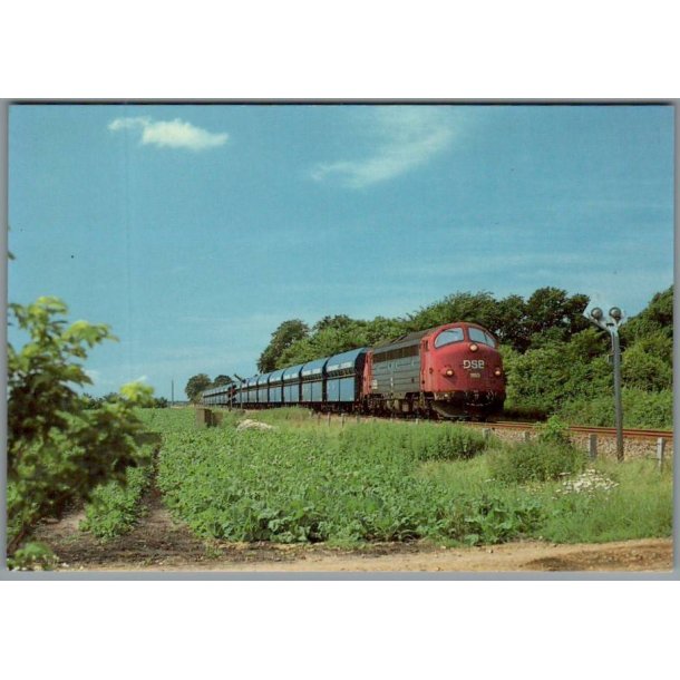 Kultog MY 1150 ved Borris 1991 - Ubrugt