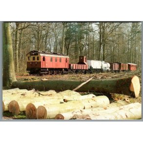 Damplokomotiverne OHJ nr. 5 og LJ nr. 19 - Maribo- Ubrugt