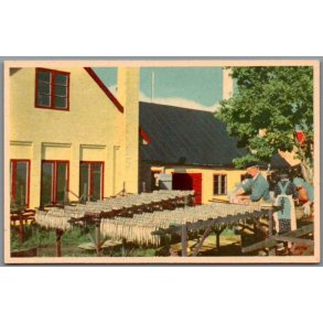Bornholm - Sildene klar til R�gning - Postkort - Ubrugt