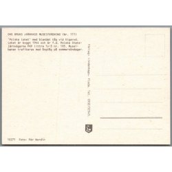 "Polska Loket" - Elsgaryd - Sverige - Ubrugt