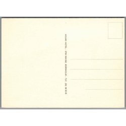 Holms Hotel - Neks� - Postkort - Ubrugt