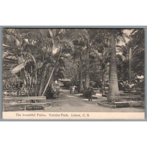 Varejas Park -  Limon  - Costa Rica - Ubrugt