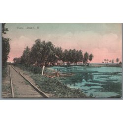 Pinta -  Limon  - Costa Rica - Ubrugt