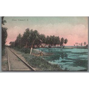 Pinta -  Limon  - Costa Rica - Ubrugt