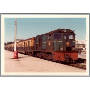 Tog - SNCFT 040-DC-41  - Tunis - Tunesien - Foto