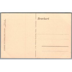 Kong Frederiks d. 7des H�j - Set fra Funderholme - Postkort - Ubrugt