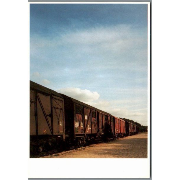 "Slow Train" - Holland - Ubrugt