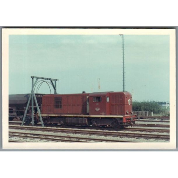 Tog - Hoorn - Holland - Foto