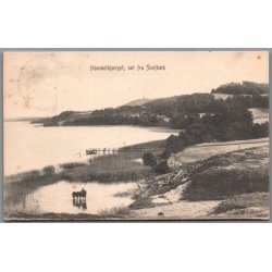 Himmelbjerget set fra Svejb�k - Postkort - Brugt