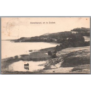 Himmelbjerget set fra Svejb�k - Postkort - Brugt