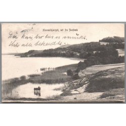 Himmelbjerget set fra Svejb�k - Postkort - Brugt