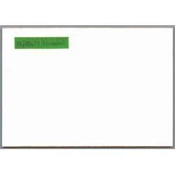 Tog - Istanbul - Tyrkiet - Foto