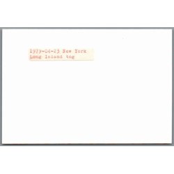 Tog - U.S.A. - New York - Long Island - Tog - Foto