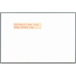 Tog - U.S.A. - New York - Long Island - Tog - Foto