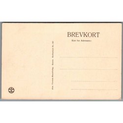 Silkeborg - Paradiset - Postkort - Ubrugt
