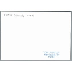 Tog - SFSM - Sorrento - Italien - Foto