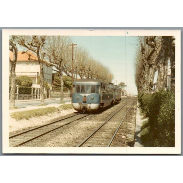 Tog - Porto - Portugal - Foto