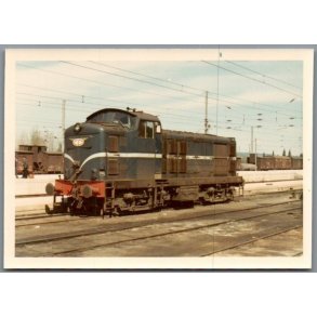 Tog - CP 1443 - Coimbra - Portugal - Foto