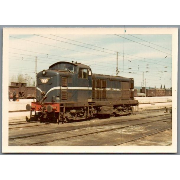 Tog - CP 1443 - Coimbra - Portugal - Foto