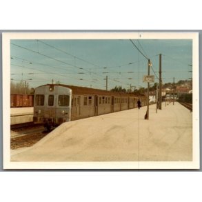 Tog - CP RYFC - Coimbra - Portugal - Foto