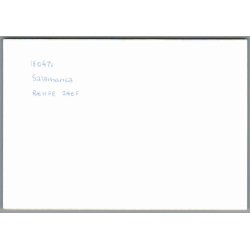 Tog - Renfe 240 F - Salamanca - Spanien - Foto