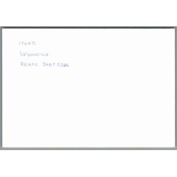 Tog - Renfe 240 F - Salamanca - Spanien - Foto