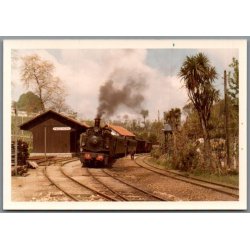 Tog - CPE 182 - Paco Yiera - Portugal - Foto