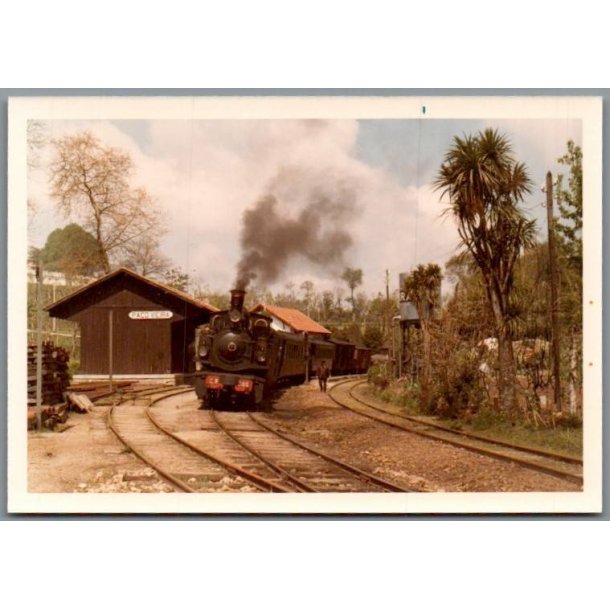 Tog - CPE 182 - Paco Yiera - Portugal - Foto