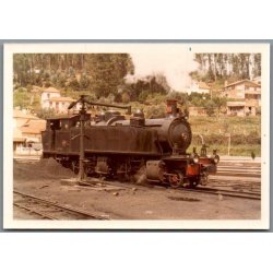 Tog - CPE 182 - Sernada da Vouga - Portugal - Foto