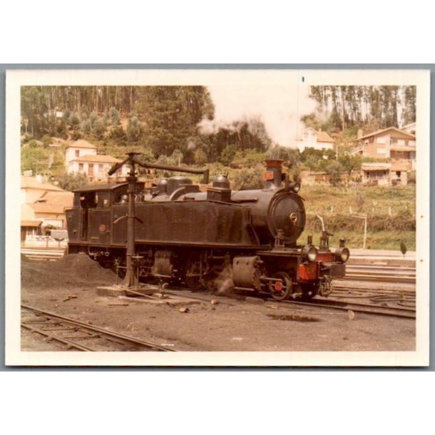 Tog - CPE 182 - Sernada da Vouga - Portugal - Foto