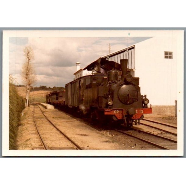 Tog - CPE 113 - Sendas - Portugal - Foto