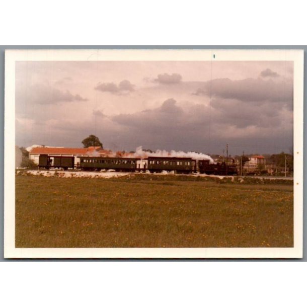 Tog - CP - Ved Circunvalacao - Portugal - Foto