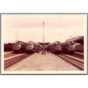 Tog - Bobadilla - Portugal - Foto