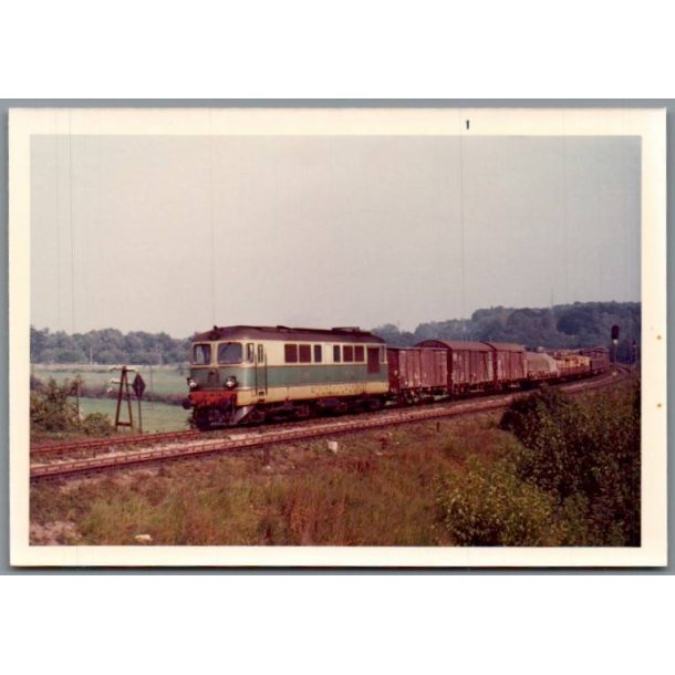 Tog - PKP  ST 43-129 - Ved Dabie - Polen - Foto