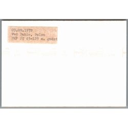 Tog - PKP  ST 43-129 - Ved Dabie - Polen - Foto