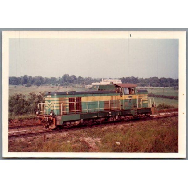 Tog - PKP  SM 42-476 - Ved Dabie - Polen - Foto