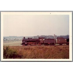 Tog - PKP  Ok 1 - 53 - Ved Dabie - Polen - Foto