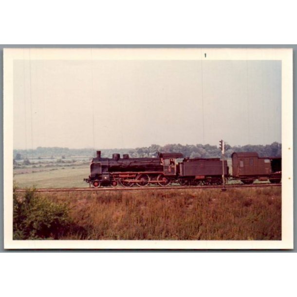 Tog - PKP  Ok 1 - 53 - Ved Dabie - Polen - Foto