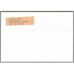 Tog - PKP  Pt 47 - 85 - Szczecin - Polen - Foto