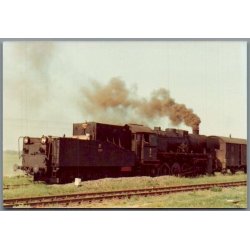 Tog - PKP Ty 2 202 - Witoslaw - Polen - Foto