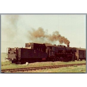 Tog - PKP Ty 2 202 - Witoslaw - Polen - Foto