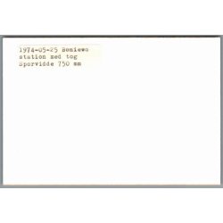 Tog - Boniewo Station - Polen - Foto