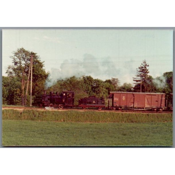 Tog - PKP  T49  115 - Morzewiec - Polen - Foto