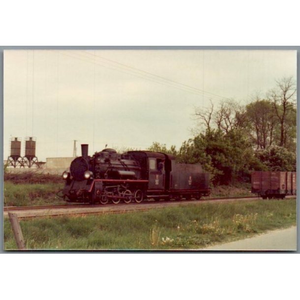 Tog - PKP  Px  1909 - Osieciny - Polen - Foto