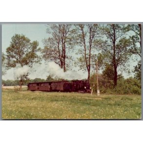 Tog - PKP  T49  111 - Isabela - Polen - Foto