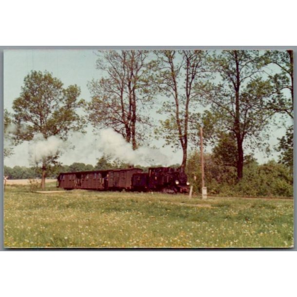 Tog - PKP  T49  111 - Isabela - Polen - Foto