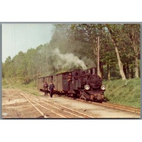 Tog - PKP  T49  111 - Liszkowo - Polen - Foto