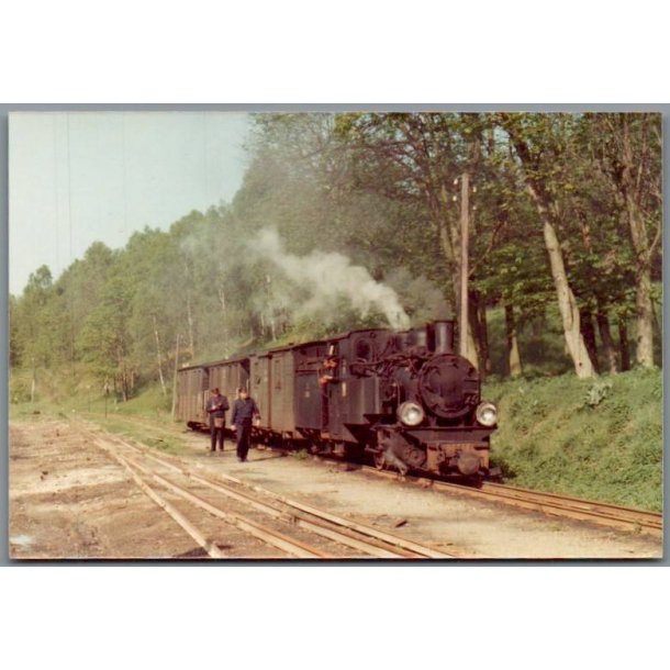 Tog - PKP  T49  111 - Liszkowo - Polen - Foto